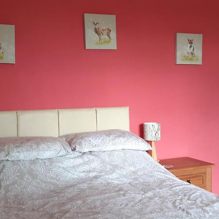Bed and Breakfast Plumtree House Brigsteer Екстер'єр фото